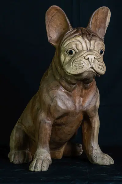 Product image 3 of the product “Seated French Bulldog made from suar wood, 50cm Height. ”